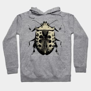 Stink Bug Insect Art Hoodie